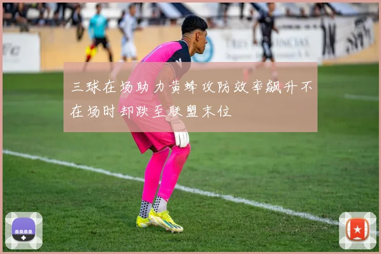 三球在场助力黄蜂攻防效率飙升不在场时却跌至联盟末位