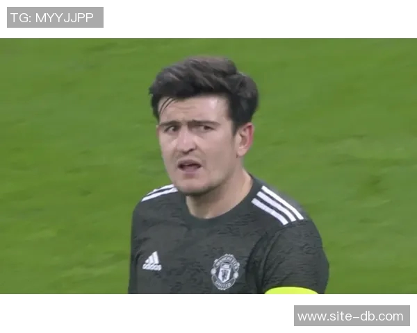 狄龙谈裁判执法困境直言不责怪老裁判的无奈与迷茫