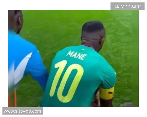 马内在非洲杯进球数追平德罗巴成为自2006年以来最佳射手并列第一人